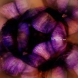 Artwork for "The Shallow Man"