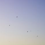 Artwork for "So Proud of You"