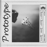 Artwork voor "Prototype"