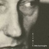 Artwork for "Little Burroughs"