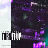 Artwork for "Turn It Up"
