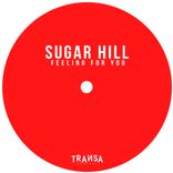 Portada para "Feeling for You"