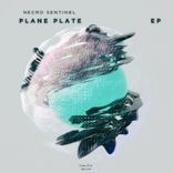 Artwork for "Plane Plate"
