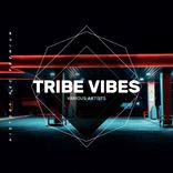 Artwork for "Tribe Vibes"