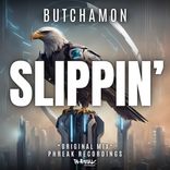 Artwork voor "Slippin'"