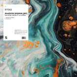 Artwork for "Shadow Ending EP"