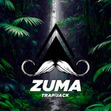Artwork for "Zuma"