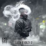 Artwork for "Illusion of Reality"