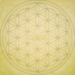 Artwork for "Dope On The Stars"