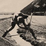 White Mountain Apache Knows No Fear