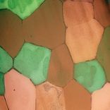 Artwork für "Springtime Forever "