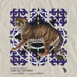 Artwork voor "Same, But Different"