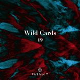 Artwork für "Wild Cards 19"
