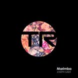 Artwork voor "Marimba"