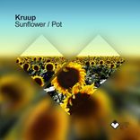 Portada para "Sunflower / Pot"