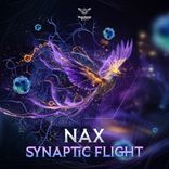 Synaptic Flight