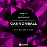 Artwork for "Cannonball (Will Sparks Remix)"