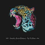 Artwork for "Vai No Bota"