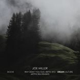 Artwork for "Why Didn't You"