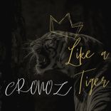 Artwork voor "Like a Tiger"