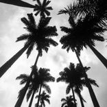 She is not your Mother (Original Mix)