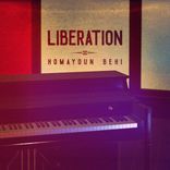 Artwork for "Liberation"