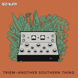 Artwork for "Another Southern Thing"