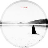 Fragments Of A Portrait