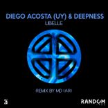 Artwork for "Libelle"