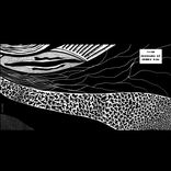 Artwork voor "Reversed EP"