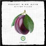 Artwork voor "Bitter Plums"