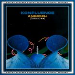 Artwork for "Amboseli"