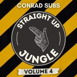 Artwork for "Straight Up Jungle: Vol.4"