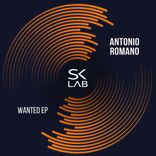 Artwork for "Wanted"