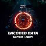 Artwork for "Never Know"