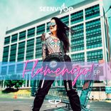 Artwork voor "Flamengo"