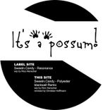 Artwork for "It's A Possum!"