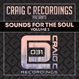 Artwork for "Sounds For The Soul, Vol.2"