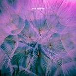 Artwork für "Taraxacum"