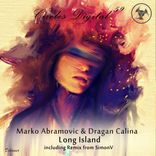 Portada para "Long Island"