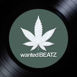 Portada para "Underground Smoker"