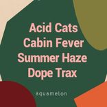 Artwork for "Cabin Fever , Summer Haze , Dope Trax"