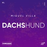 Artwork voor "Dachshund"