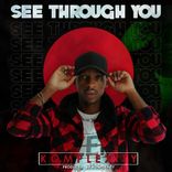 Artwork for "See Through You"