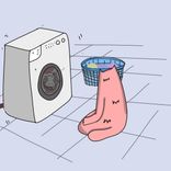 Artwork voor "Аallen Leaves"