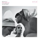 Artwork voor "Fire Lights Up"