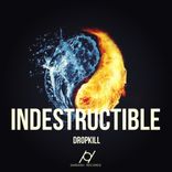 Artwork für "Indestructible"
