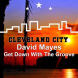 Portada para "Get Down with the Groove"