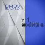 Artwork for "Black Sea"