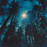 Artwork für "Far from Home"